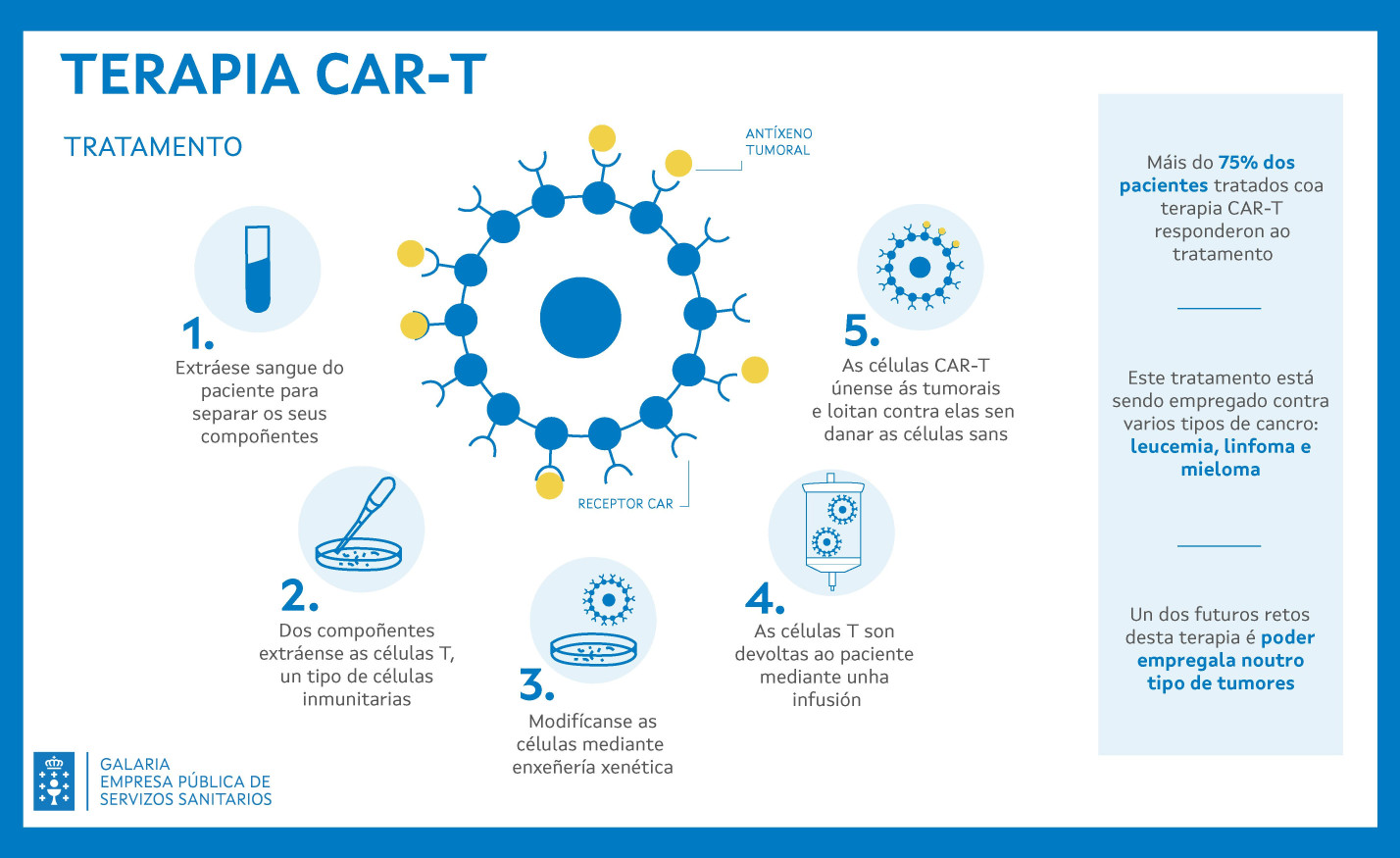 CAR-T Profesional horizontal.jpg