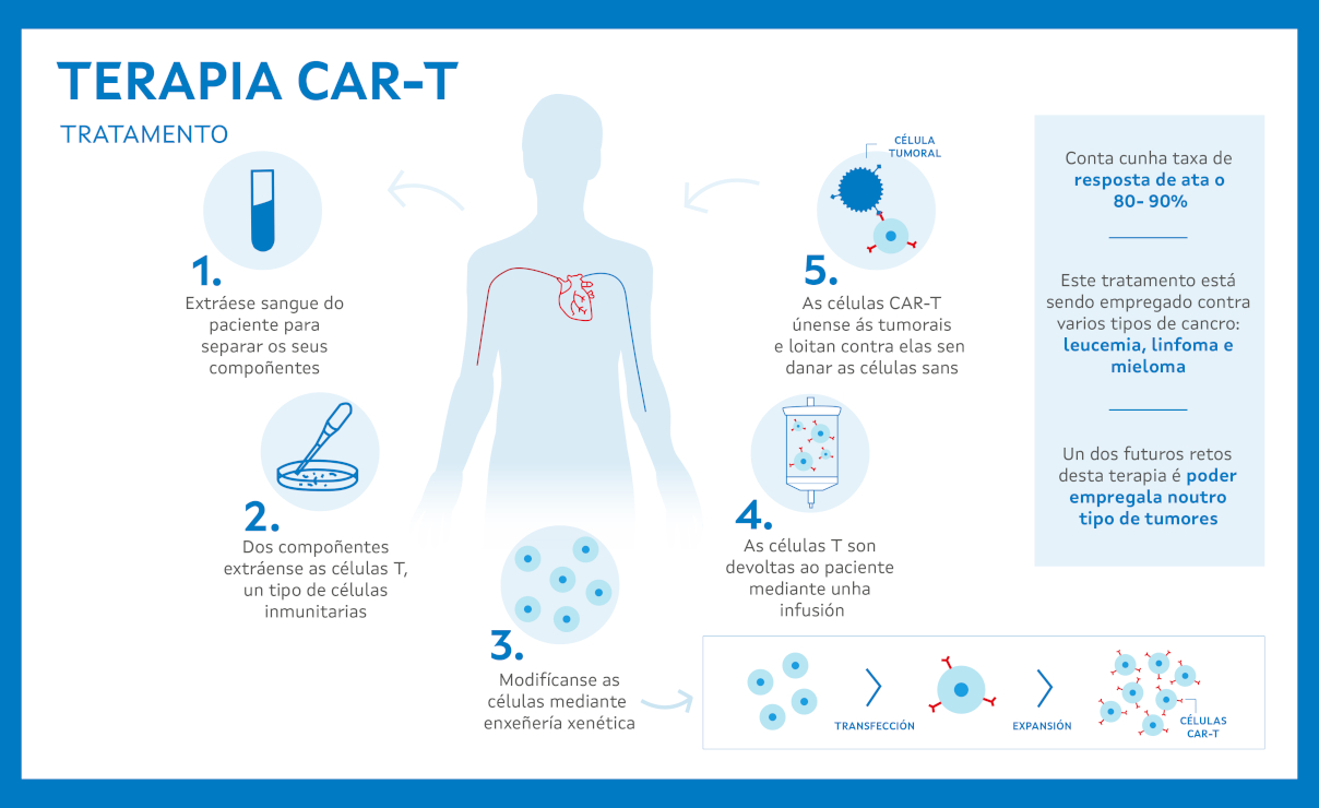 CAR-T pacientes horizontal B.jpg